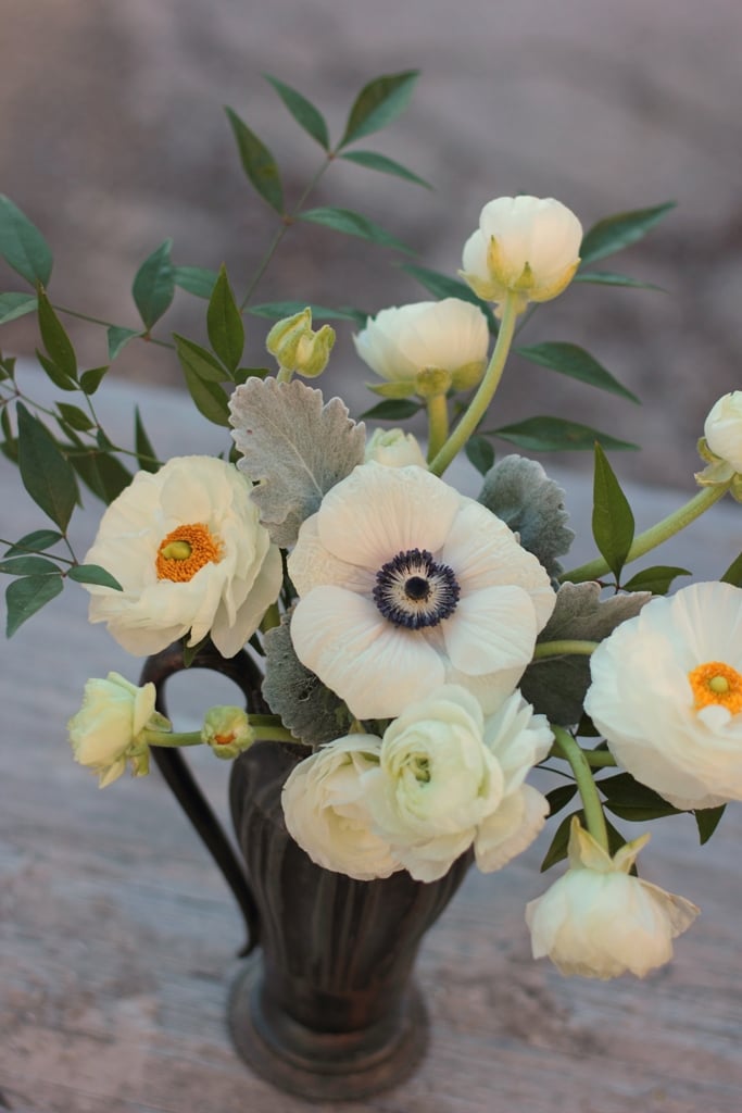 Λευκή anemone και ρύθμιση Ranunculus